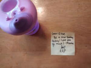 IMG_20150515_200119847